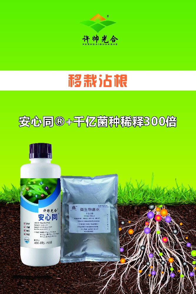 移栽/沾根