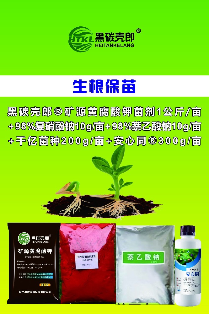 生根保苗