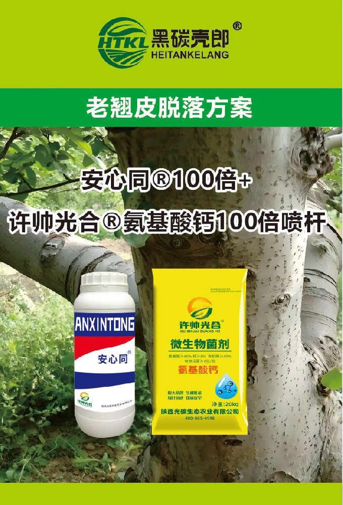 老翘皮脱落方案