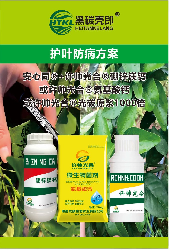 护叶防病方案
