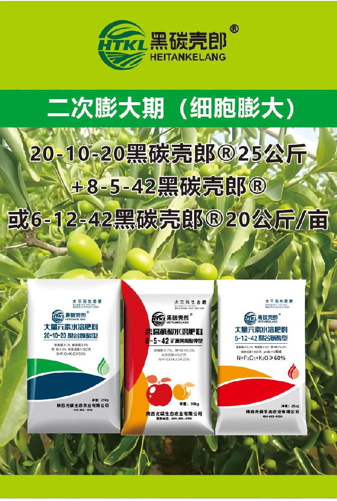 二次膨大期（细胞膨大）