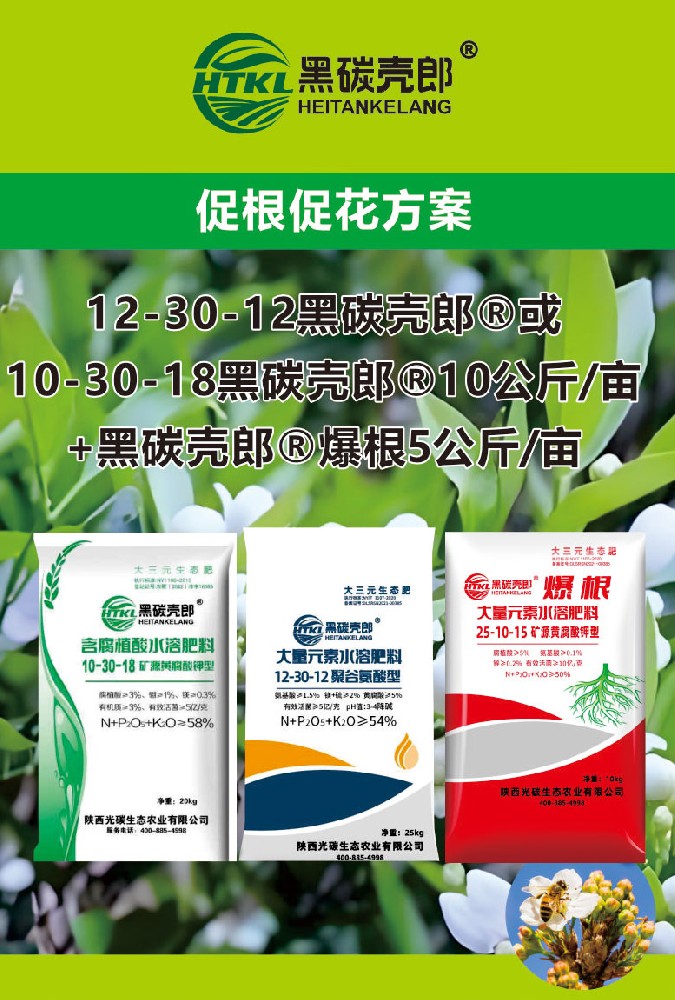 促根促花方案
