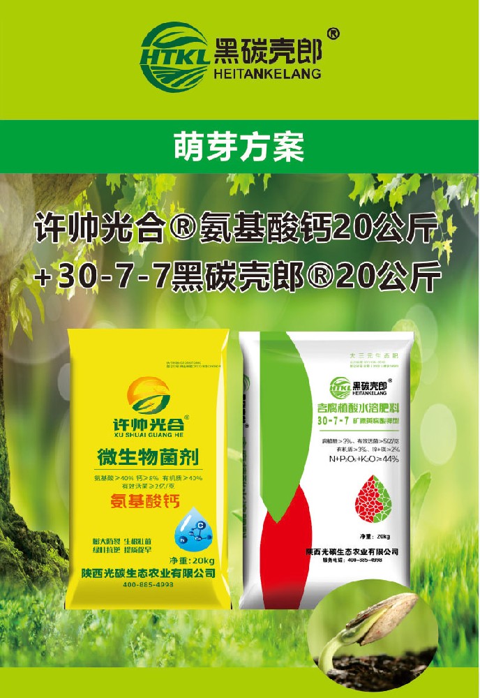 萌芽方案